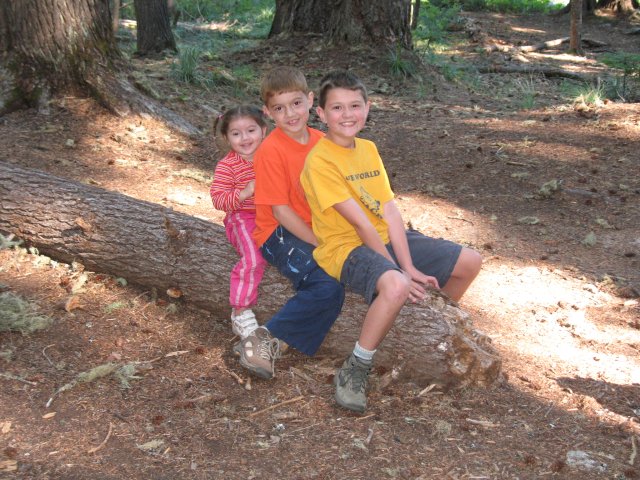 8.26-27.06 Twin Lakes & Palmateer Point 119 